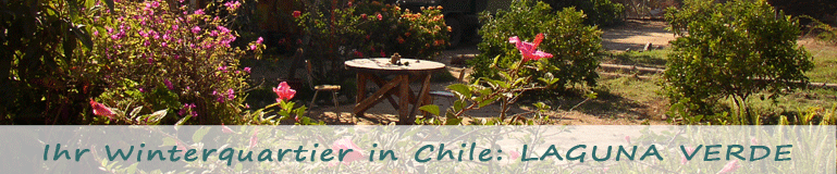 Ihr Winterquartier in Chile: Laguna Verde